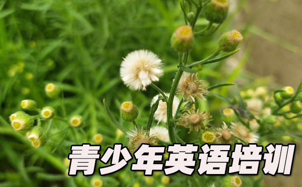 哈尔滨青少年英语培训班