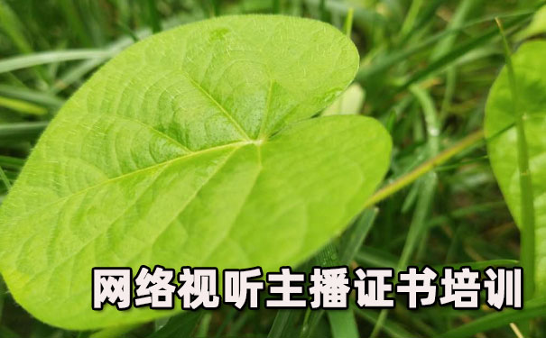 天津南开区网络视听主播证书培训机构_多少钱