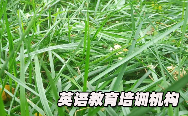 广州天河区K12英语教育-品牌机构排名