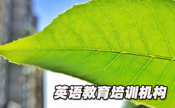 深圳南山区K12英语教育-品牌机构排名