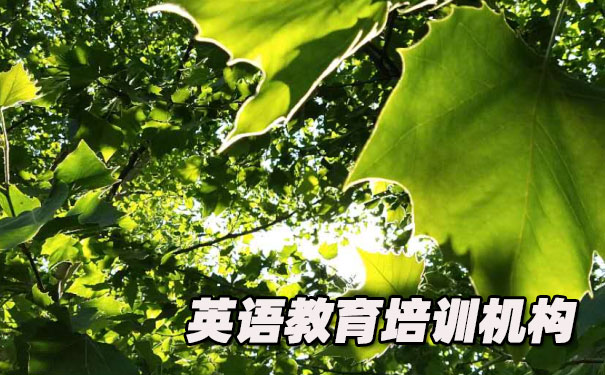 深圳龙岗区K12英语教育-品牌机构排名