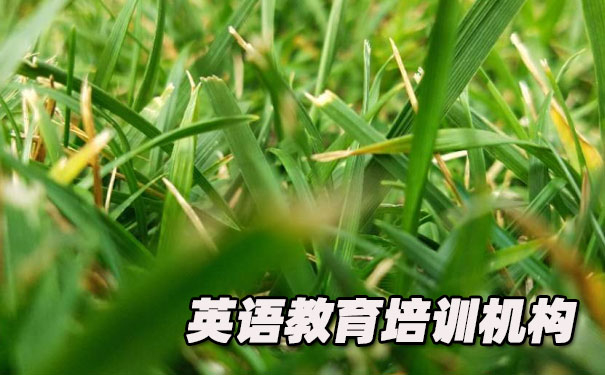 深圳福田区K12英语教育-品牌机构排名