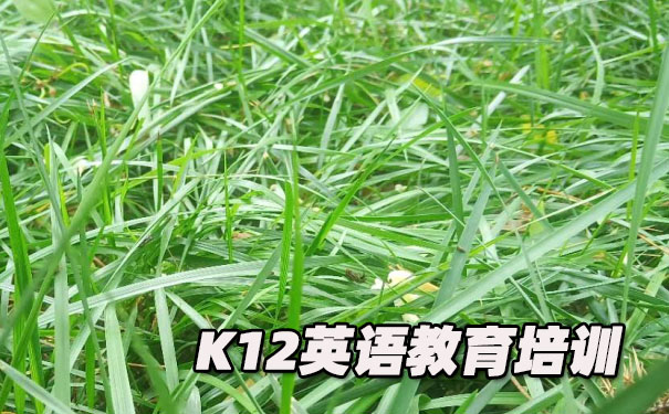 东莞虎门镇K12英语教育-品牌机构排名