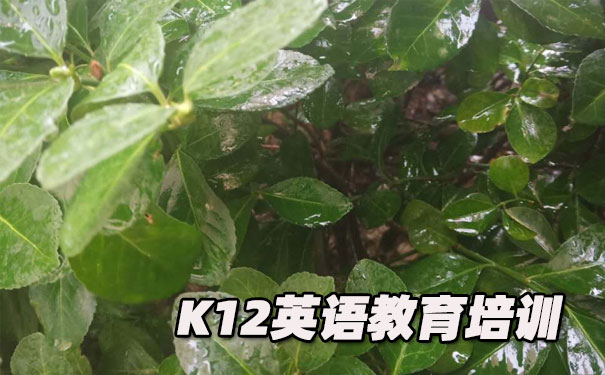 中山东区K12英语教育-品牌机构排名