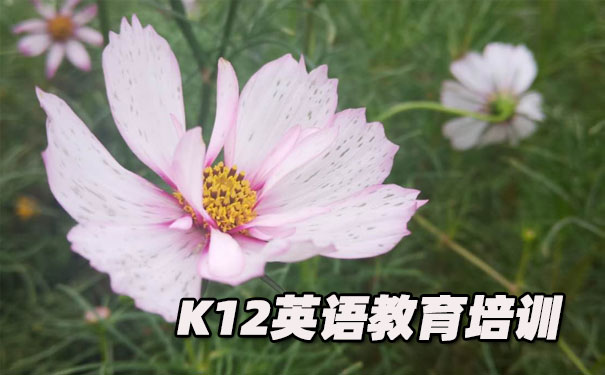 东莞松山湖K12英语教育-品牌机构排名