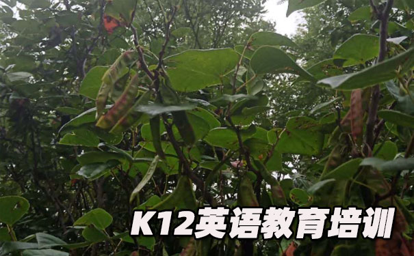 惠州惠城区K12英语教育-品牌机构排名   