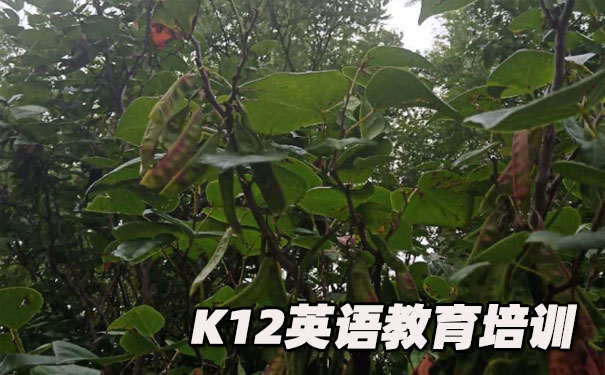 惠州惠城区K12英语教育-品牌机构排名