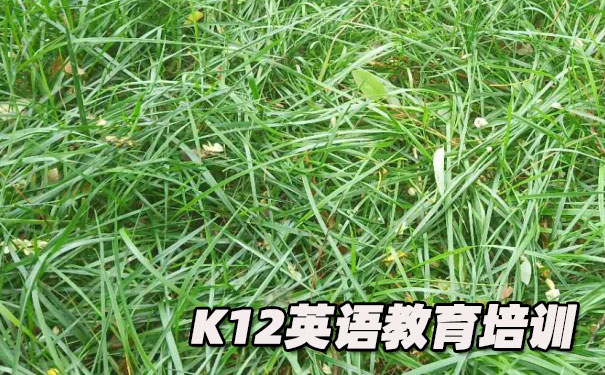 江门蓬江区K12英语教育-品牌机构排名  