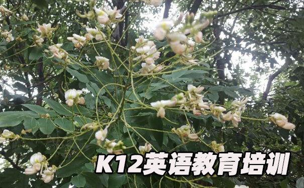 江门K12英语教育-品牌机构排名