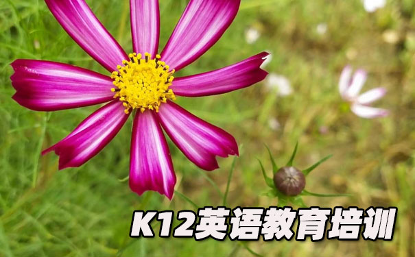 昆明五华区K12英语教育-品牌机构排名