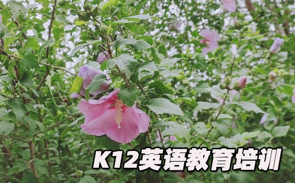 厦门湖里区K12英语教育-品牌机构排名 