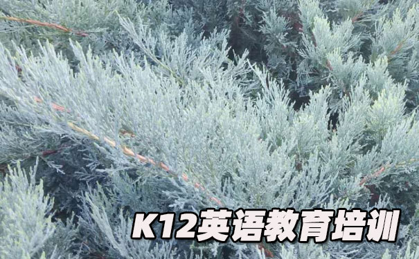泉州K12英语教育-品牌机构排名