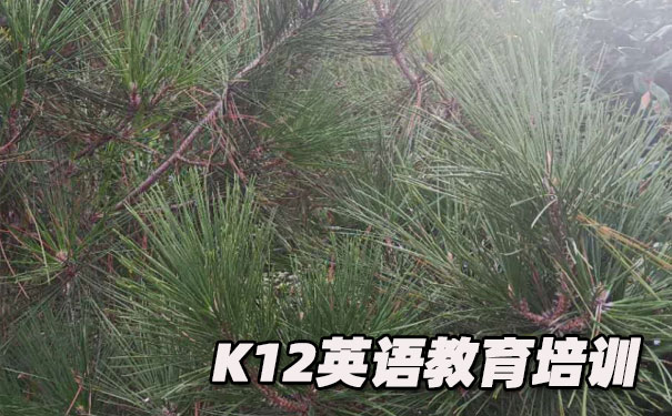 北京通州区K12英语教育-品牌机构排名