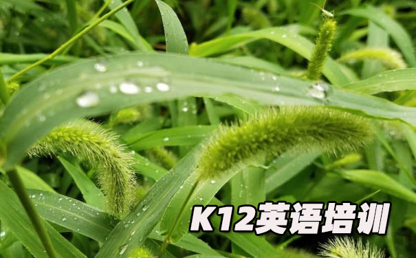 沈阳K12英语教育-品牌机构排名