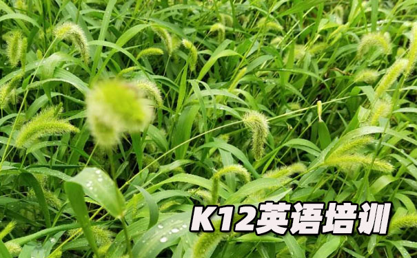 沈阳铁西区K12英语教育-品牌机构排名