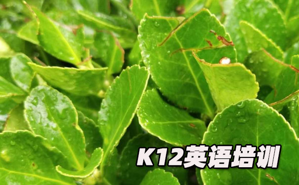 宁波鄞州区K12英语教育-品牌机构排名