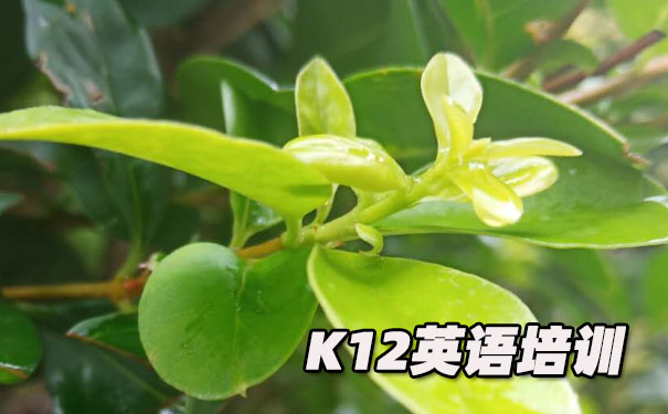 宁波江北区K12英语教育-品牌机构排名