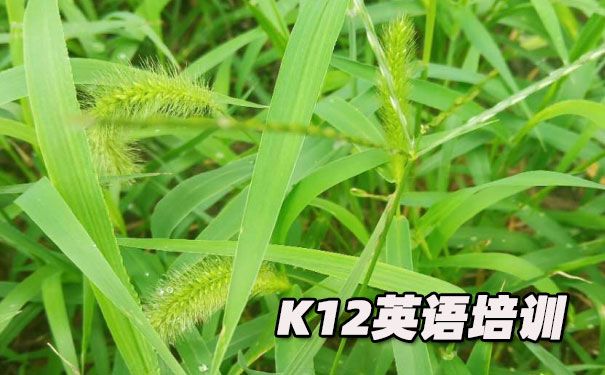 宁波K12英语教育-品牌机构排名  