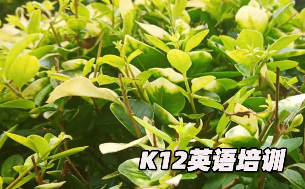 绍兴K12英语教育-品牌机构排名 