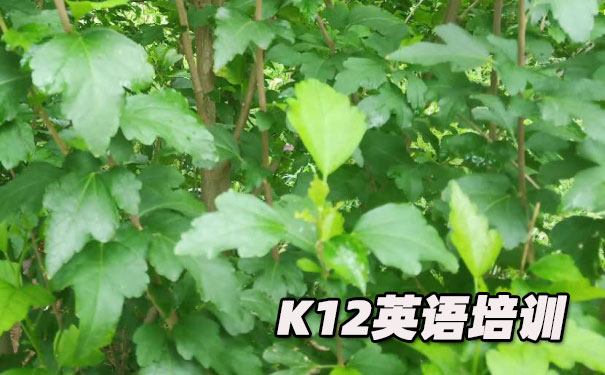 绍兴越城区K12英语教育-品牌机构排名