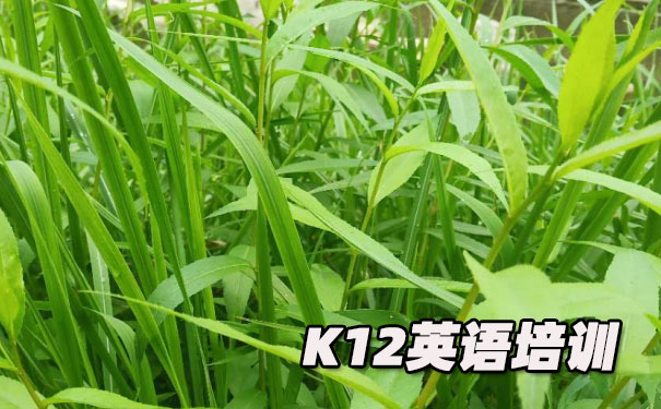 绍兴柯桥区K12英语教育-品牌机构排名