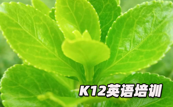 沈阳和平区K12英语教育-品牌机构排名