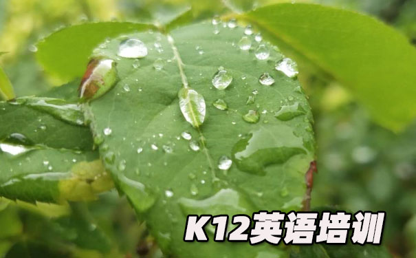 重庆南岸区K12英语教育-品牌机构排名  