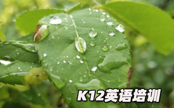 重庆南岸区K12英语教育-品牌机构排名