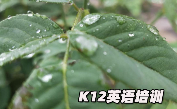 重庆沙坪坝区K12英语教育-品牌机构排名