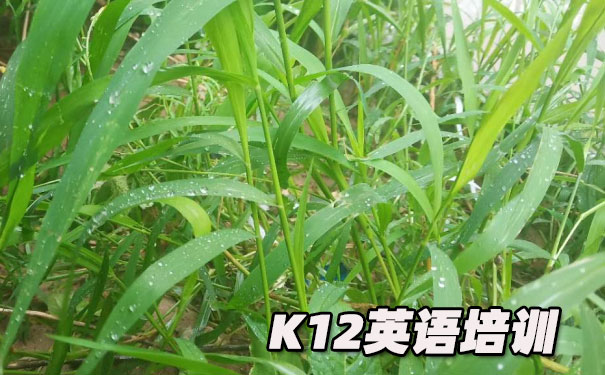 重庆渝北区K12英语教育-品牌机构排名