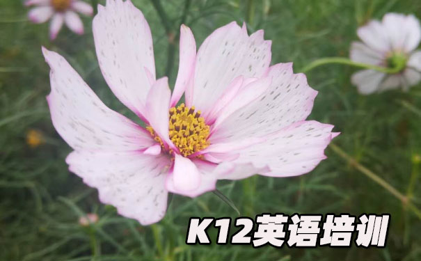 成都成华区K12英语教育-品牌机构排名