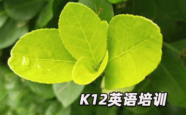 汕头金平区K12英语教育-品牌机构排名