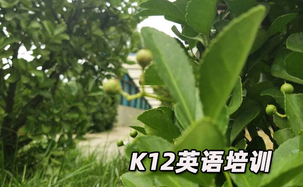 大连开发区K12英语教育-品牌机构排名  
