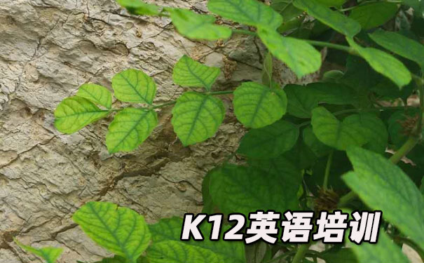杭州K12英语教育-品牌机构排名  