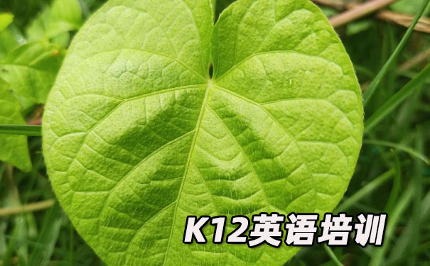 杭州滨江区K12英语教育-品牌机构排名