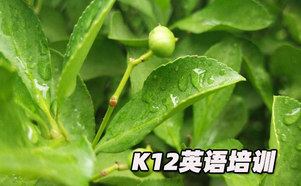 重庆渝中区K12英语教育-品牌机构排名