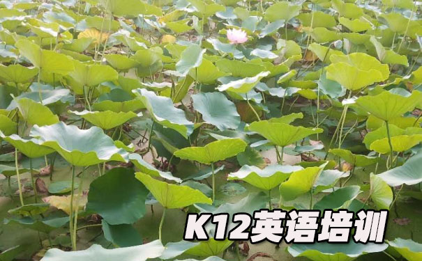 合肥瑶海区K12英语教育-品牌机构排名