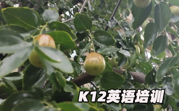 重庆K12英语教育-品牌机构排名