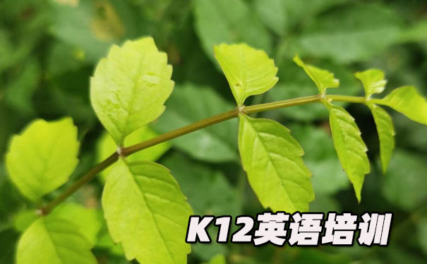 南昌K12英语教育-品牌机构排名