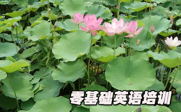 广州海珠区零基础学英语_方法_视频_软件