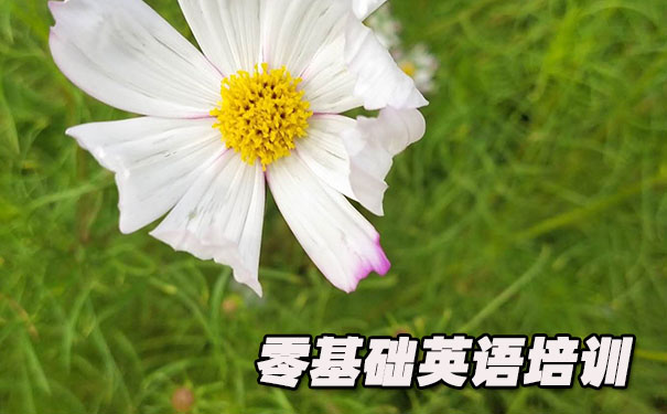 广州白云区零基础学英语_方法_视频_软件    