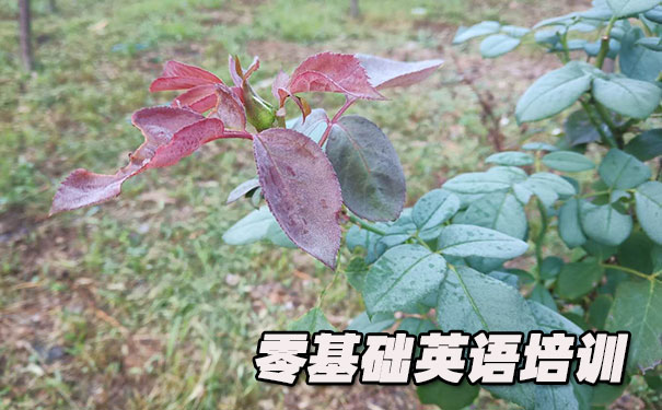 广州番禺区零基础学英语_方法_视频_软件