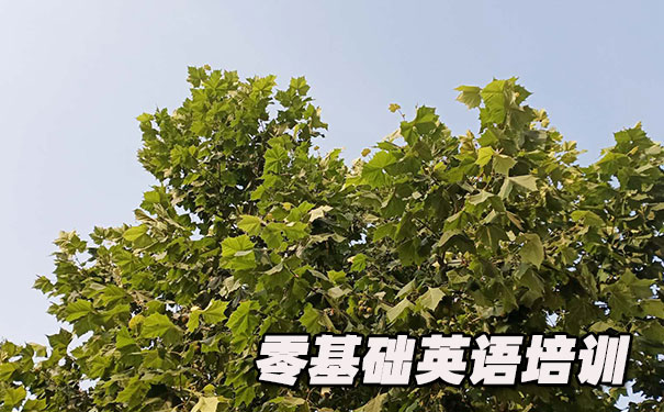 广州零基础学英语_方法_视频_软件