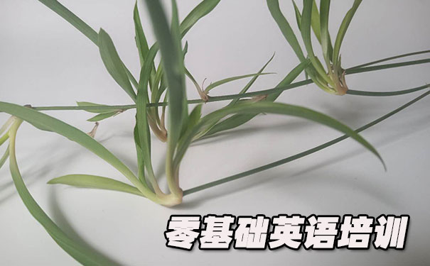 东莞零基础学英语_方法_视频_软件