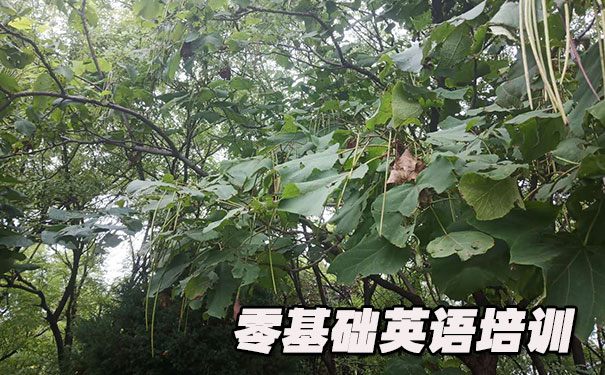 中山小榄镇零基础学英语_方法_视频_软件