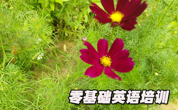 武汉洪山区零基础学英语_方法_视频_软件
