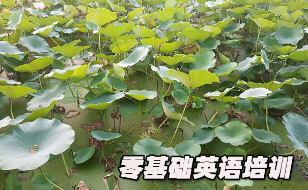 厦门湖里区零基础学英语_方法_视频_软件 