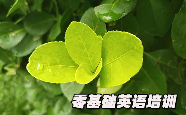 厦门零基础学英语_方法_视频_软件
