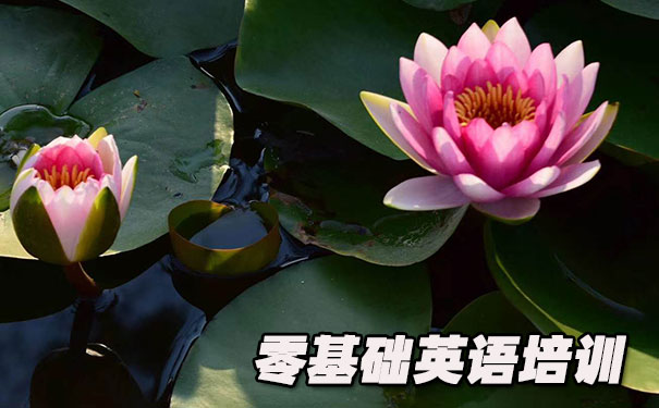 江门蓬江区零基础学英语_方法_视频_软件