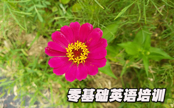 苏州吴中区零基础学英语_方法_视频_软件
